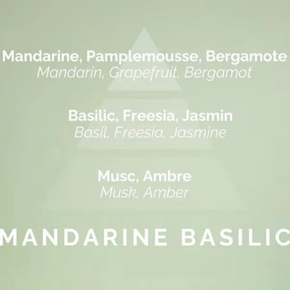 PLANTES & PARFUMS PROVENCE CANDLE Mandarine Basilic scent